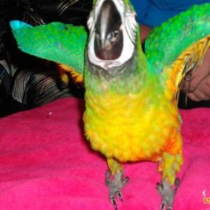 Meet your Posher, Judith